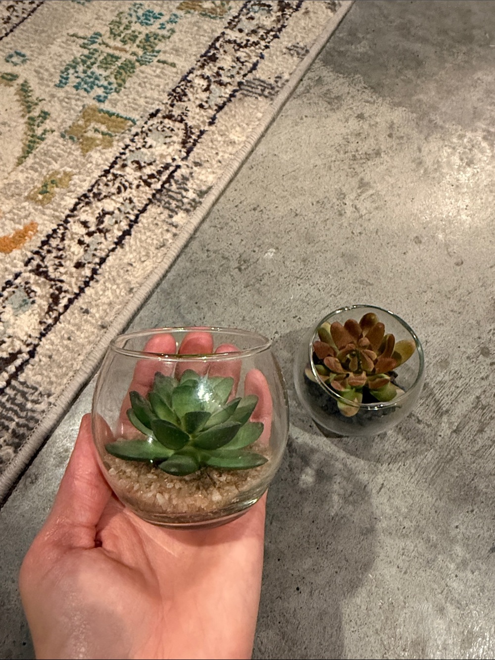 Artificial Succulent in Glass Bowl - Green & Red-Green Home Accent - Picture 5 of 5